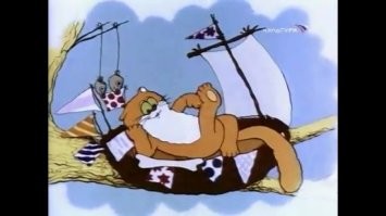 Пожилой грустный кот не верил тому, что на него обратили внимание