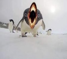Фотоподборка