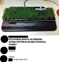 Конкретно за этой жрали солейролию