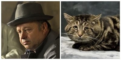 Определенное сходство (особенно во взгляде)