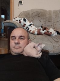 Нежность