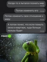 А если их не помыть – ничего страшного не произойдёт!