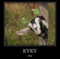 Знак «Стоп»? Нет, не слышал! Момент ДТП под Новороссийском