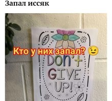 17 счастливых случаев, когда людям удалось поймать ироничный момент