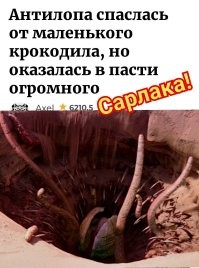 Ох уж эти мастера заголовка...