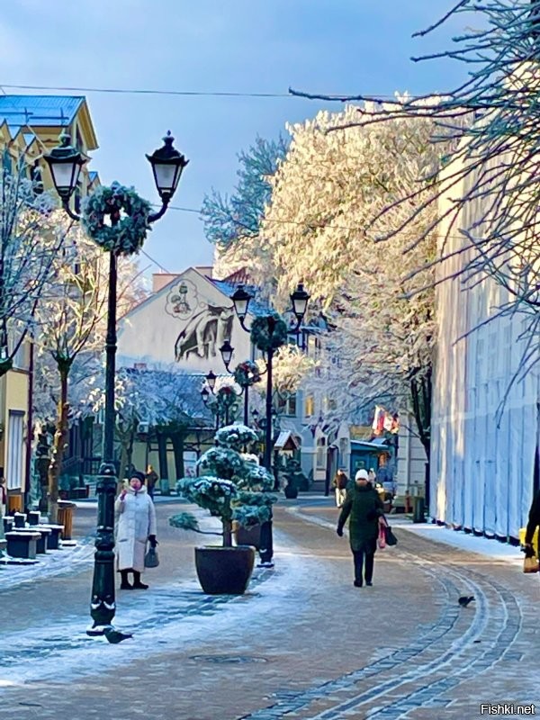 А у нас вот какие. И это далеко не все!