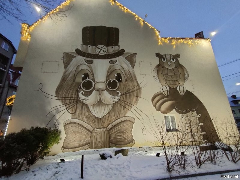 А у нас вот какие. И это далеко не все!