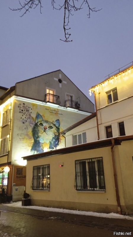 А у нас вот какие. И это далеко не все!