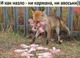 Да по... , холодильника ведь тоже нет.