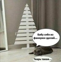 Комментарии и картинки из соцсетей. Свежак за 17 декабря