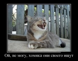 Будь спокойнее, ты-ж неглуп. Улыбнись и оставь тему.
(моих лайков не хватит покрыть всех кретинов)