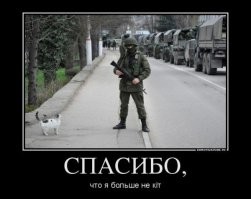 12 потрясающих снимков горбатых китов, которые играют с фотографами