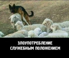 Просто гифки, всякие и разные