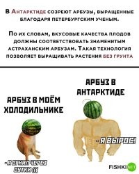 О, кто-то открыл для себя гидропонику, о которой я читал в журнале "Наука и жизнь" в 1985 году.
