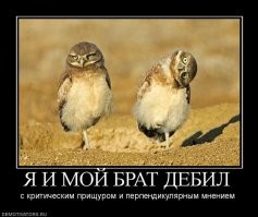 Полистай демотиваторы - зарядись хорошим настроением!
