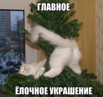 20 кошек, которые сломали новогоднюю ёлку и ничуть об этом не пожалели