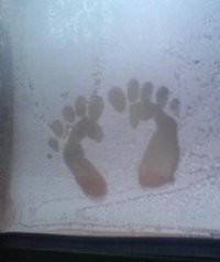 В автобусе на стекле.