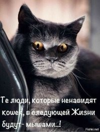 Полистай демотиваторы - зарядись хорошим настроением!