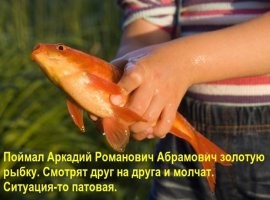 Власти Канады хотят забрать и присвоить деньги олигарха Абрамовича