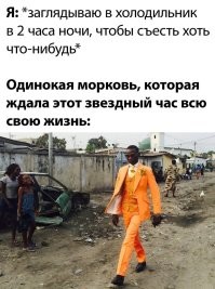 Смешные и познавательные картинки
