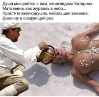 Комментарии и картинки из соцсетей. Свежак за 20 декабря