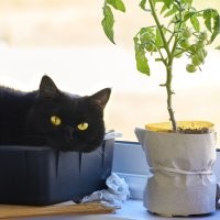 Уважуха!!! Такая же история))). Только я подобрал год назад.