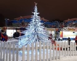 Из лыж в Рыбинске