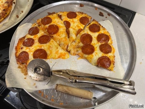 На основании чего сделан вывод, что теплица сделана из старого батута? 



Автор комментария твёрдо убеждён, что пиццу можно разрезать только ножом для пиццы, и ничем иным?