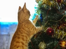 Мой. Лет пять назад))