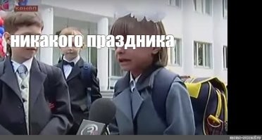 Испортили праздник: кот не понимает, как хозяева могли с ним так поступить