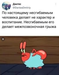 Межпозвоночная грыжа у креветки? Сильно