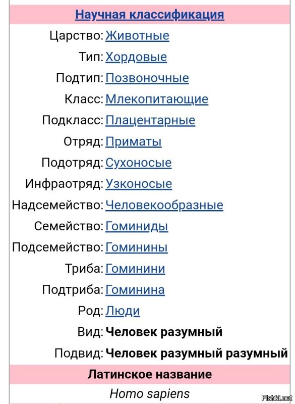 Ни в каком учебнике человека к обезьянам не относят.