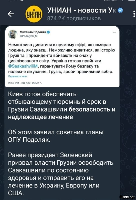 Чтобы людине помиралось лучше, хохлы предлагают отправить Мишико к ним. Учитывая 32 психиатрических диагноза больного, его там немедля объявят здоровым и лечение закончится. А дальше повестка - и на фронт!