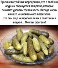 Комментарии и картинки из соцсетей. Свежак за 20 декабря