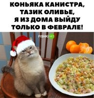 Оптимистично! После "коньяка" из канистры из дома можно уже и не выйти. Берегите себя!