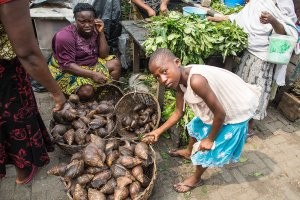 В Африке на рынках продают