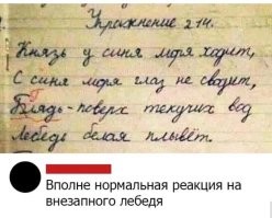 Школьные сочинения, в которых больше смысла, чем в современной литературе