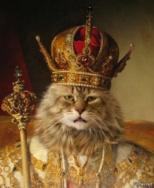 15 фото, которые показывают, почему рыжие коты — самые лучшие