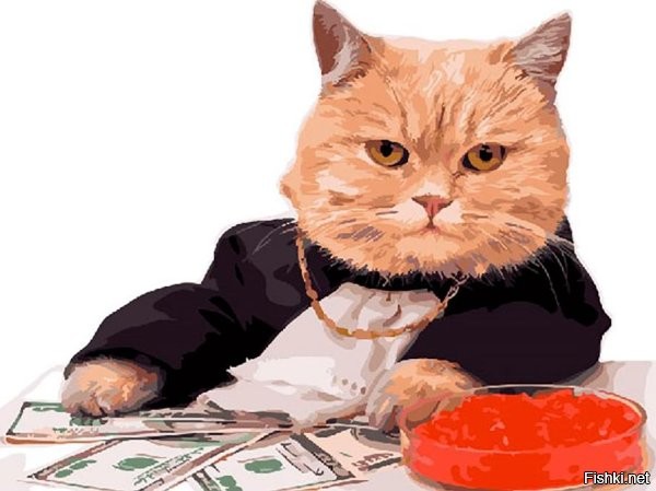 15 фото, которые показывают, почему рыжие коты — самые лучшие