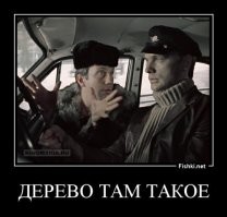 Смешные и не очень картинки: улыбните улыбатор