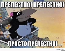 Хотел проучить «рогатого», а получил разодранную бочину