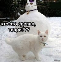 20 фото животных в снегу, которые учат нас радоваться мелочам