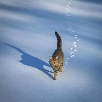 Моя любимая, зимняя тема.