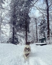 Моя любимая, зимняя тема.