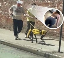 Можете пояснить? Он хочет трахнуть робота?