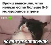 если без тире, то приемлимо