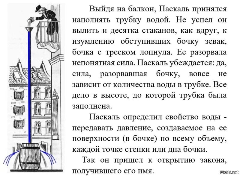 Почему лопнул самый большой аквариум в Европе и грозит ли подобное аналогичным объектам в России