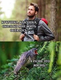 О чём кукует кукушка, согласно поверьям русских крестьян