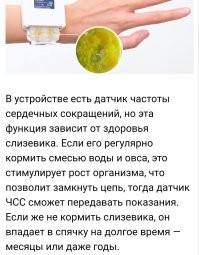 Идея Тамагочи жива! :)