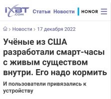 Идея Тамагочи жива! :)